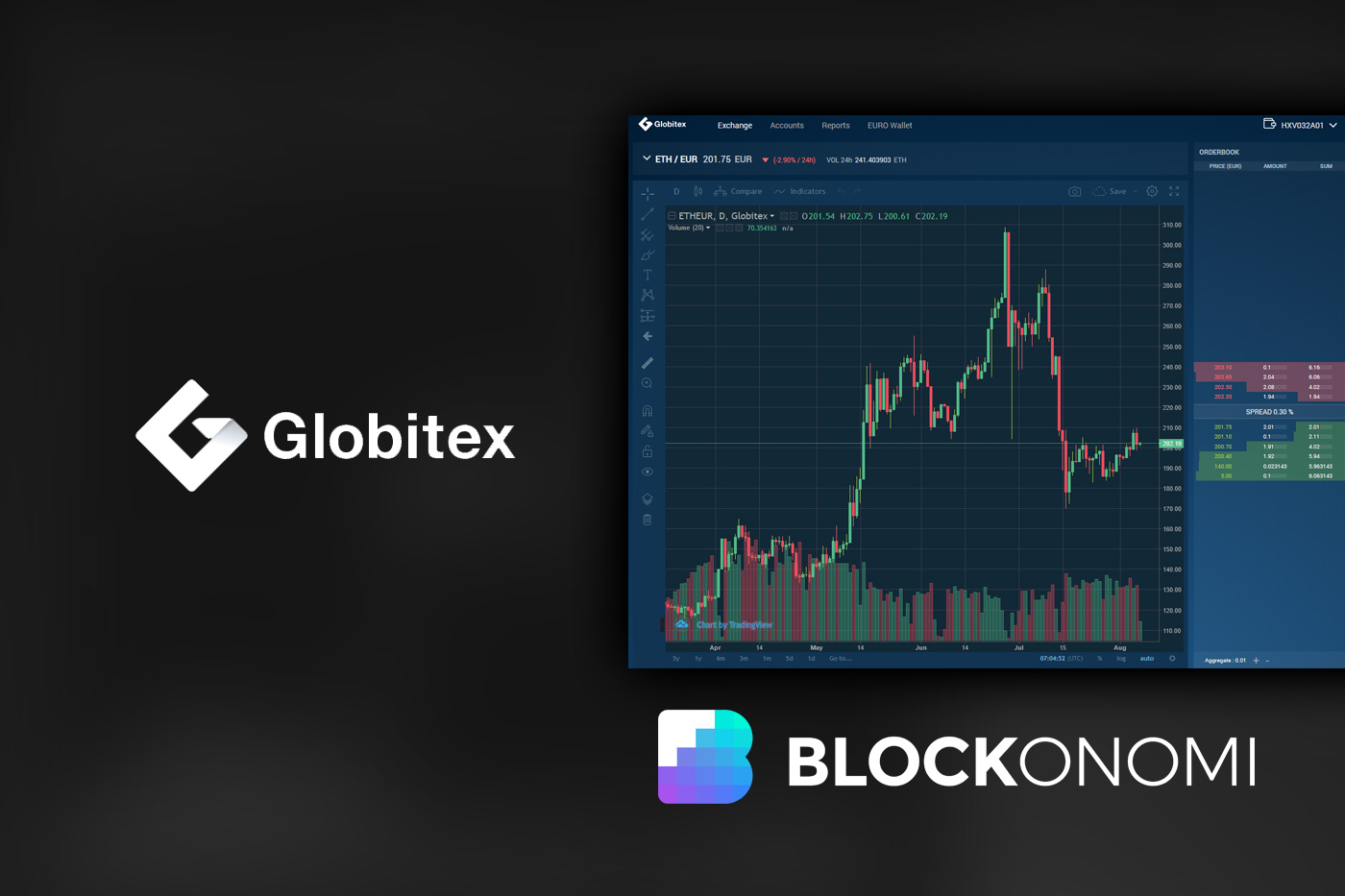 Globitex Review
