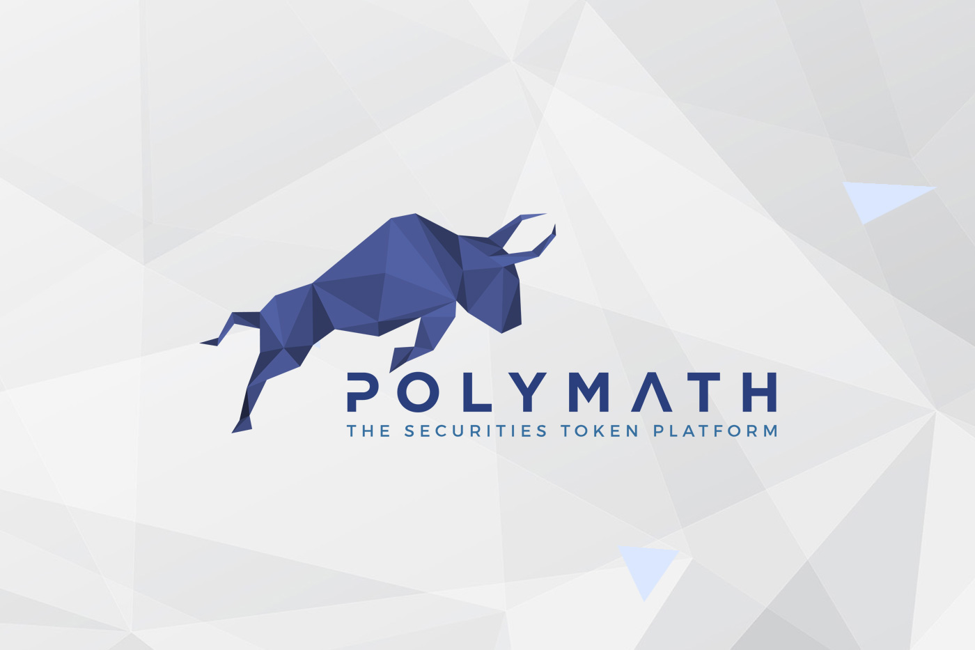 Polymath-Leitfaden