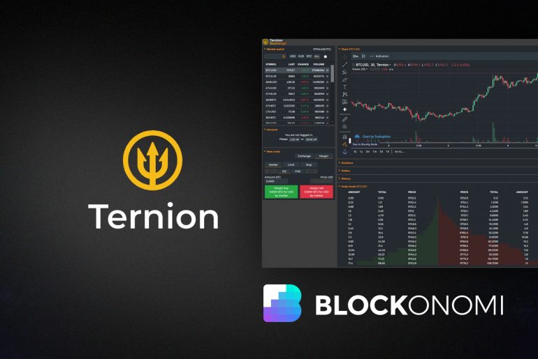 Ternion Exchange Review